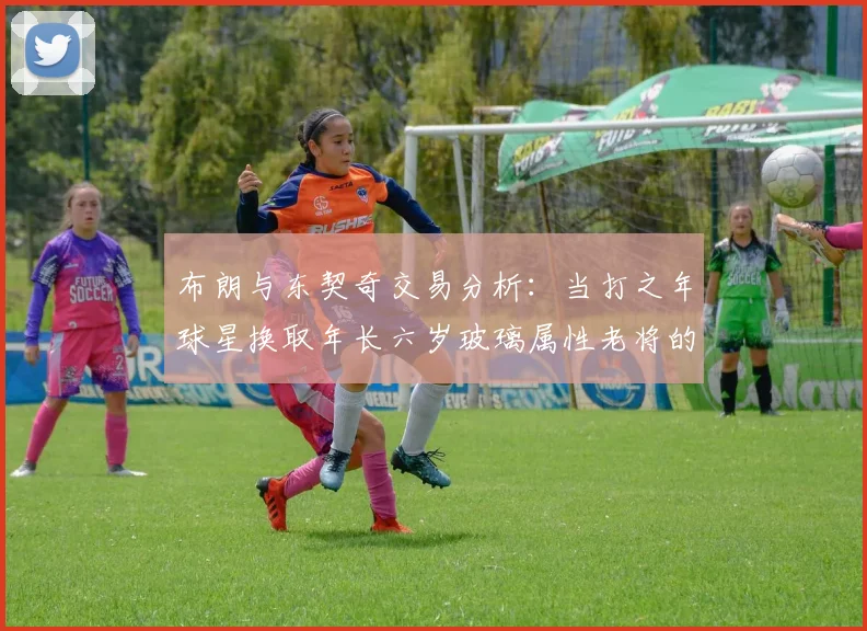 布朗与东契奇交易分析：当打之年球星换取年长六岁玻璃属性老将的利弊探讨